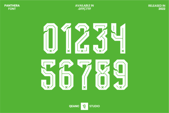 Panthera Font: Modern Display for Sports & Racing