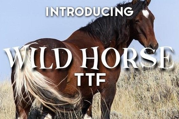 Wild Horse Font for Web Design